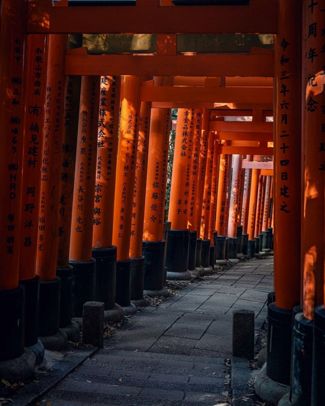 Kyoto Mirai Japanese Institute 3