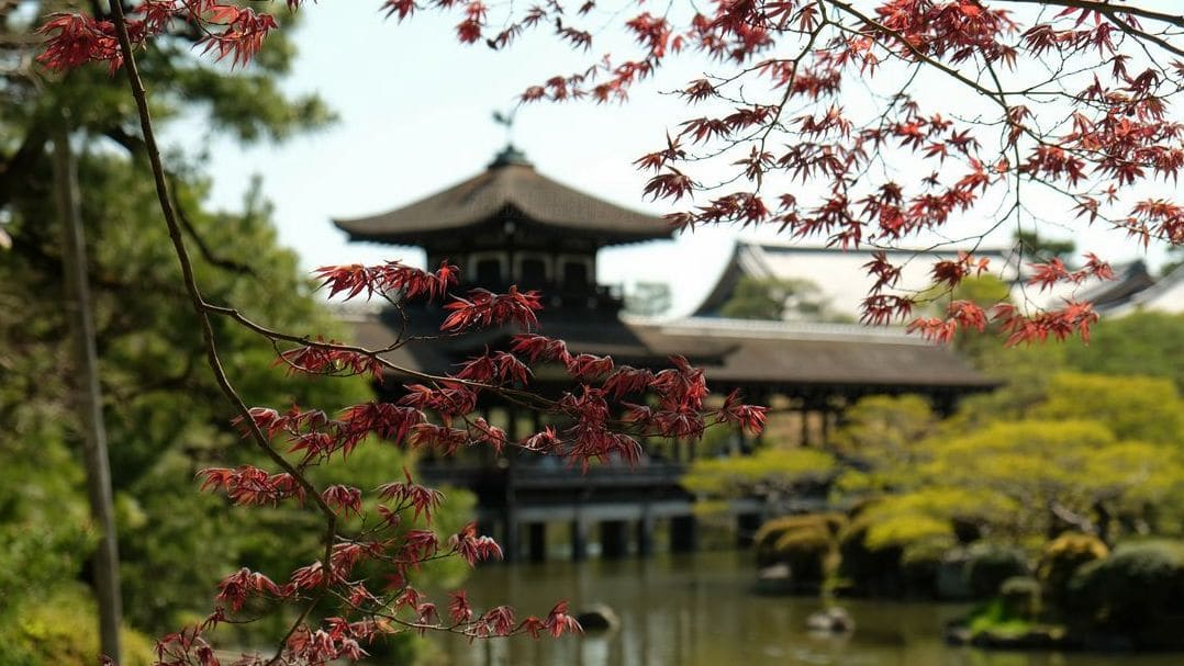 Kyoto Mirai Japanese Institute 6