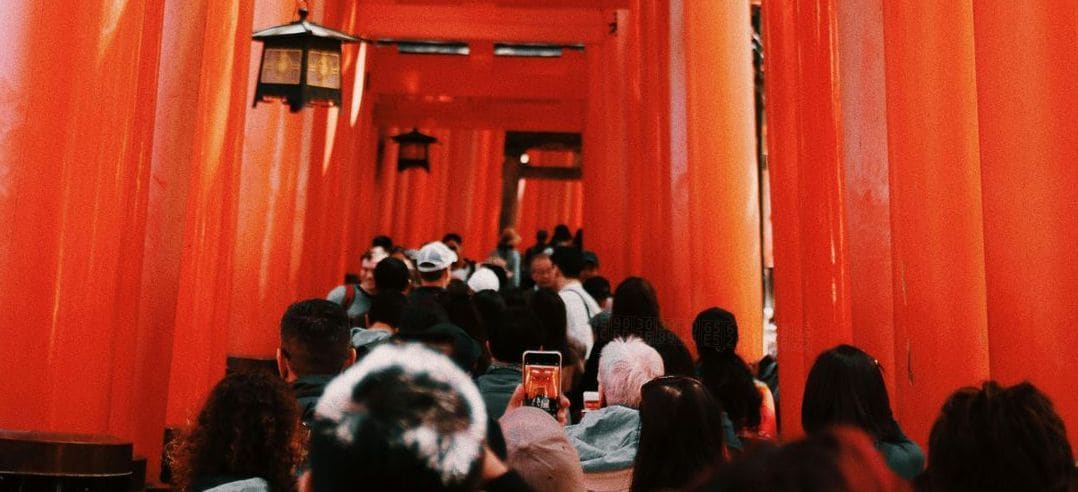 Kyoto Mirai Japanese Institute 9